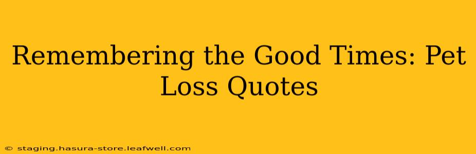 Remembering the Good Times: Pet Loss Quotes