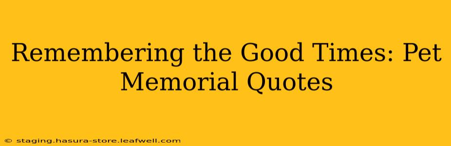 Remembering the Good Times: Pet Memorial Quotes