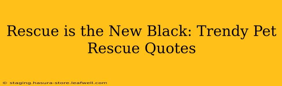 Rescue is the New Black: Trendy Pet Rescue Quotes