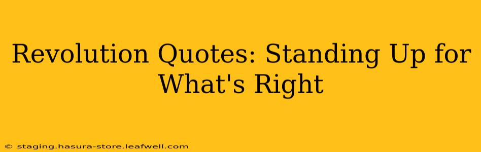 Revolution Quotes: Standing Up for What's Right