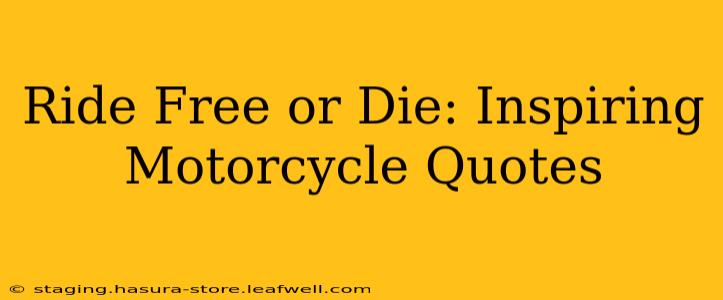 Ride Free or Die: Inspiring Motorcycle Quotes