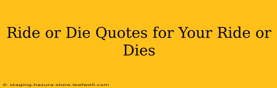 Ride or Die Quotes for Your Ride or Dies