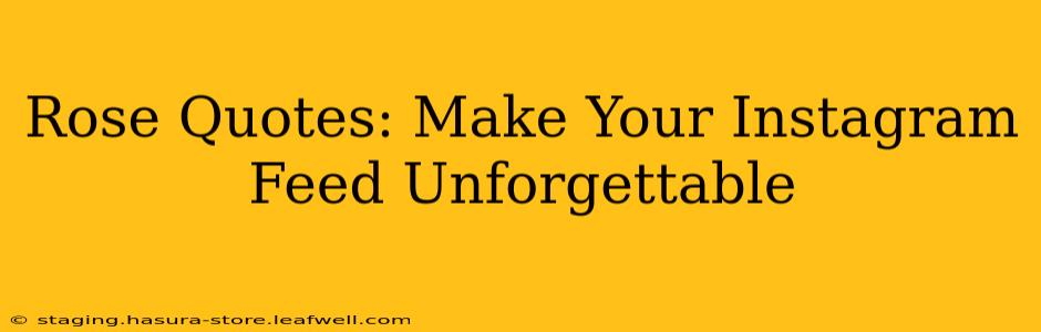 Rose Quotes: Make Your Instagram Feed Unforgettable