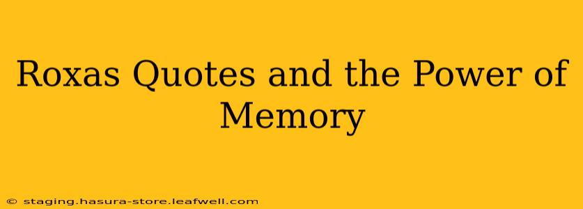 Roxas Quotes and the Power of Memory