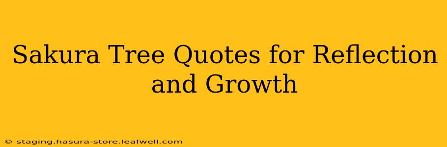 Sakura Tree Quotes for Reflection and Growth