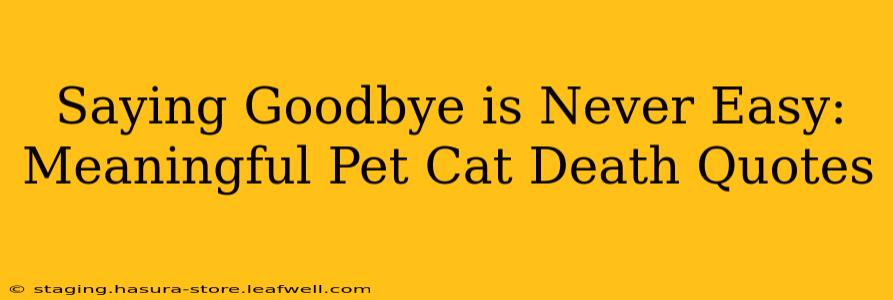 Saying Goodbye is Never Easy: Meaningful Pet Cat Death Quotes