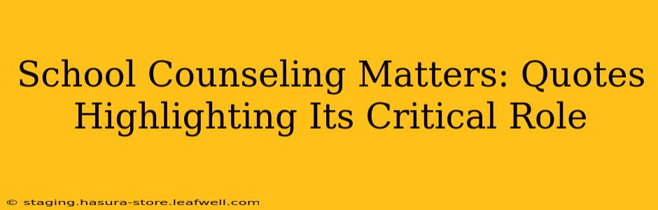 School Counseling Matters: Quotes Highlighting Its Critical Role