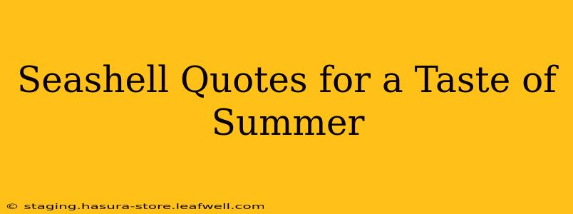 Seashell Quotes for a Taste of Summer