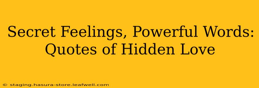 Secret Feelings, Powerful Words: Quotes of Hidden Love