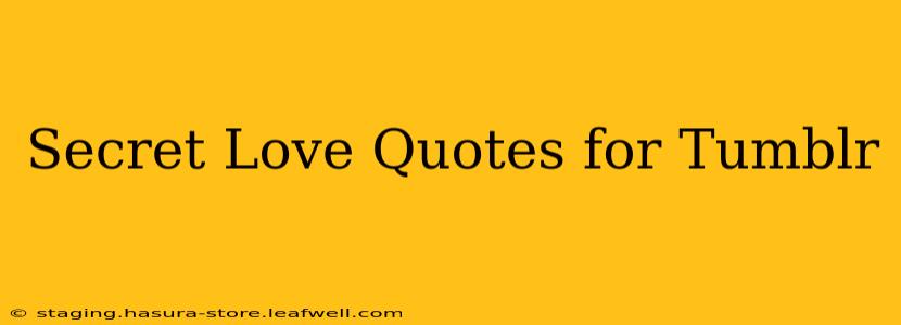 Secret Love Quotes for Tumblr