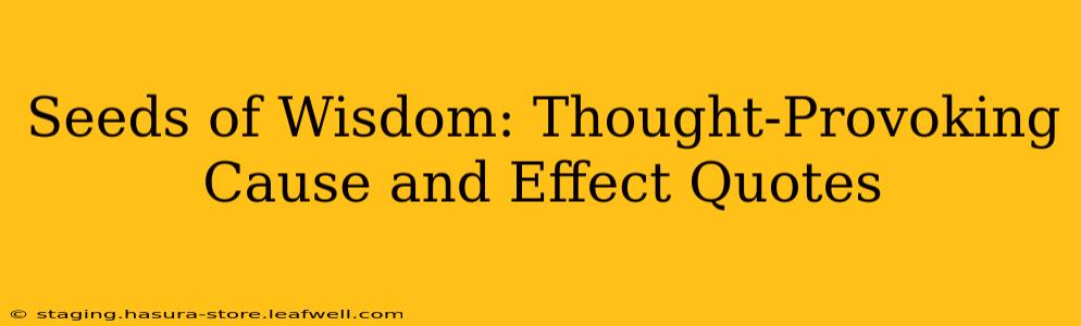 Seeds of Wisdom: Thought-Provoking Cause and Effect Quotes