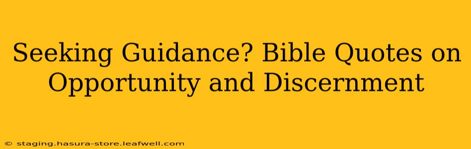 Seeking Guidance? Bible Quotes on Opportunity and Discernment