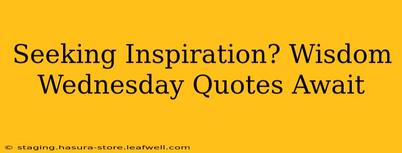 Seeking Inspiration? Wisdom Wednesday Quotes Await