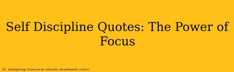 Self Discipline Quotes: The Power of Focus