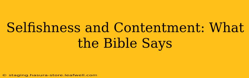 Selfishness and Contentment: What the Bible Says