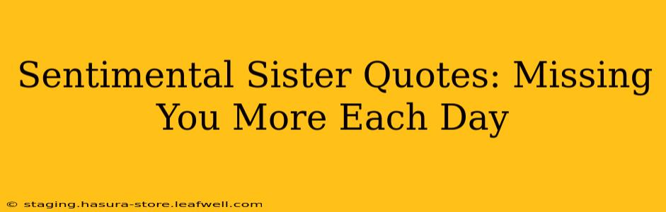 Sentimental Sister Quotes: Missing You More Each Day