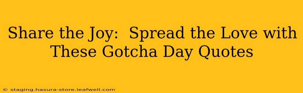 Share the Joy:  Spread the Love with These Gotcha Day Quotes