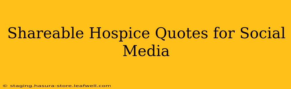 Shareable Hospice Quotes for Social Media