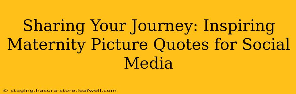 Sharing Your Journey: Inspiring Maternity Picture Quotes for Social Media