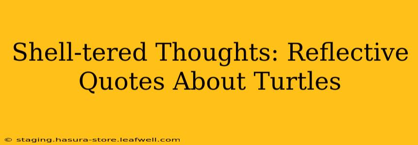 Shell-tered Thoughts: Reflective Quotes About Turtles