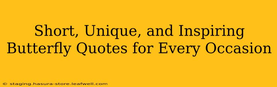 Short, Unique, and Inspiring Butterfly Quotes for Every Occasion