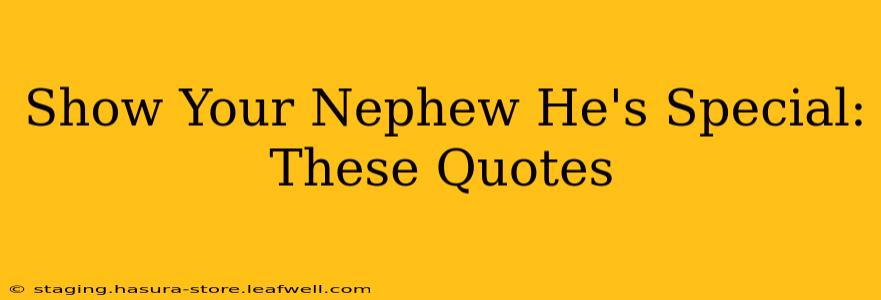 Show Your Nephew He's Special: These Quotes