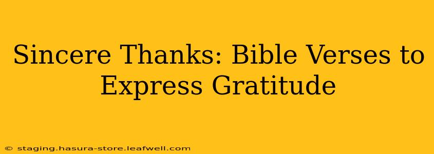 Sincere Thanks: Bible Verses to Express Gratitude