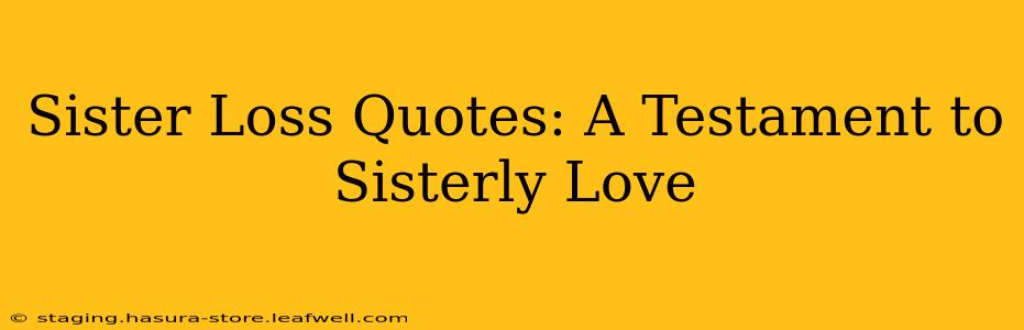 Sister Loss Quotes: A Testament to Sisterly Love