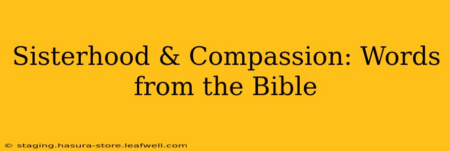Sisterhood & Compassion: Words from the Bible