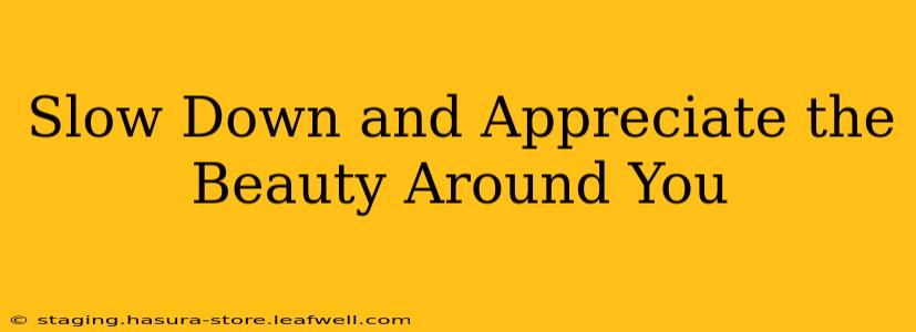 Slow Down and Appreciate the Beauty Around You