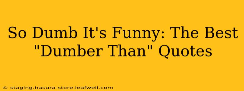 So Dumb It's Funny: The Best "Dumber Than" Quotes