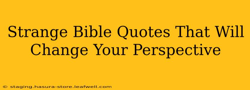 Strange Bible Quotes That Will Change Your Perspective