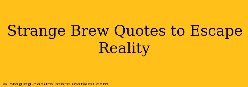 Strange Brew Quotes to Escape Reality