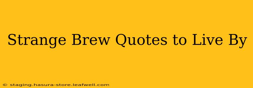 Strange Brew Quotes to Live By