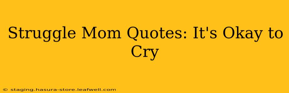 Struggle Mom Quotes: It's Okay to Cry