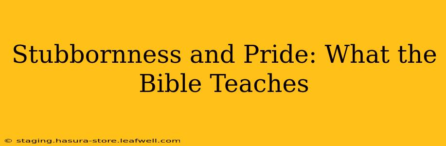 Stubbornness and Pride: What the Bible Teaches