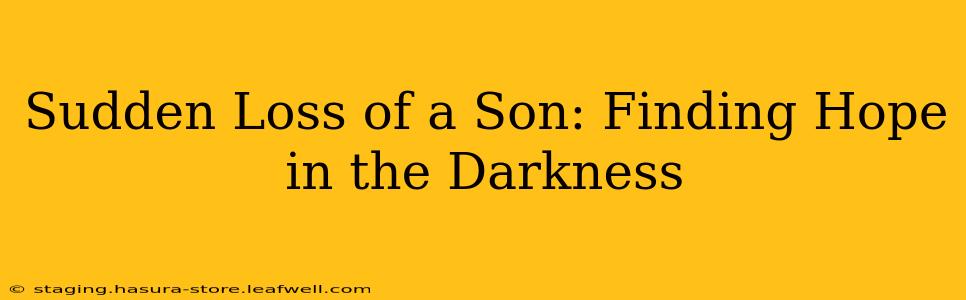 Sudden Loss of a Son: Finding Hope in the Darkness