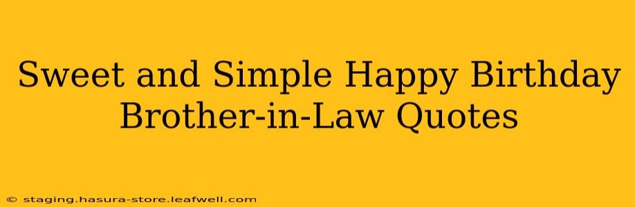 Sweet and Simple Happy Birthday Brother-in-Law Quotes