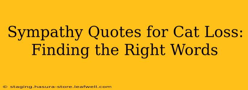 Sympathy Quotes for Cat Loss: Finding the Right Words