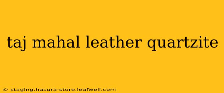 taj mahal leather quartzite