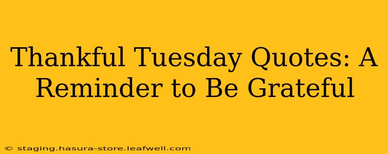 Thankful Tuesday Quotes: A Reminder to Be Grateful