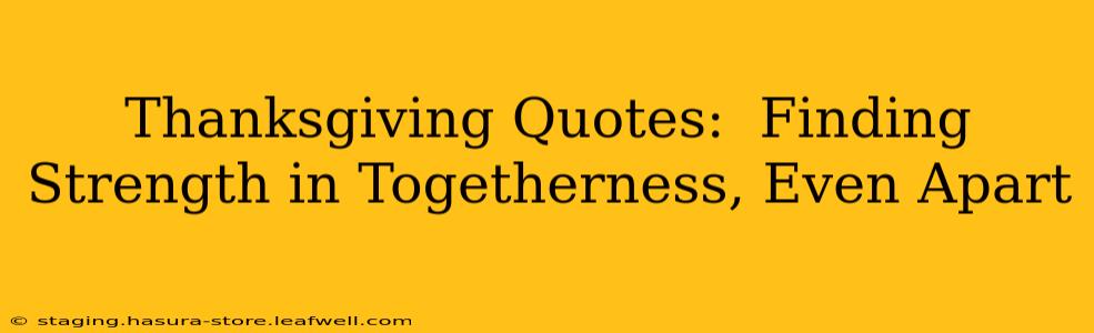 Thanksgiving Quotes:  Finding Strength in Togetherness, Even Apart