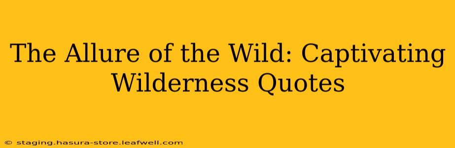 The Allure of the Wild: Captivating Wilderness Quotes