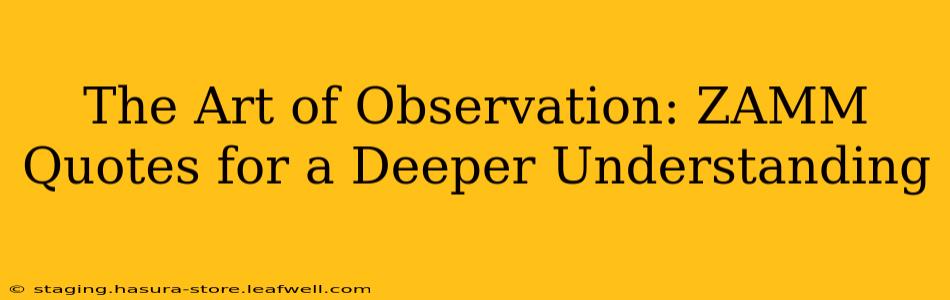 The Art of Observation: ZAMM Quotes for a Deeper Understanding