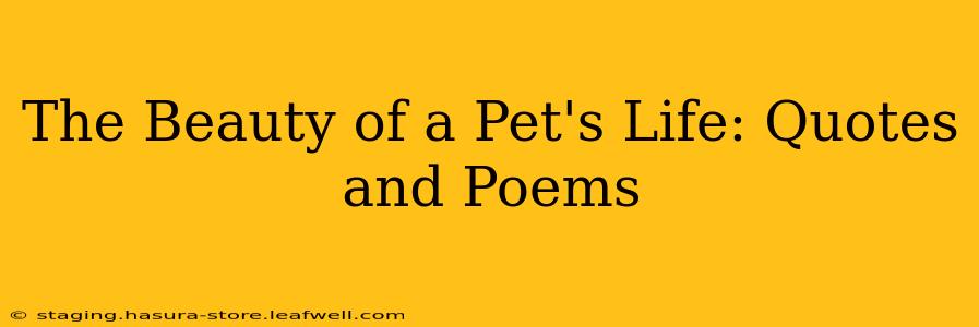 The Beauty of a Pet's Life: Quotes and Poems