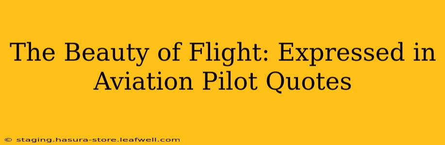 The Beauty of Flight: Expressed in Aviation Pilot Quotes