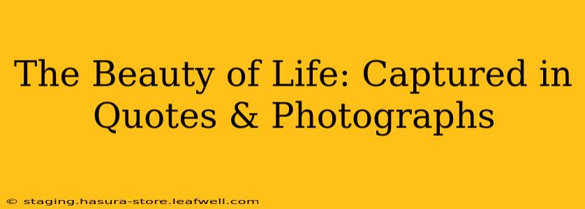 The Beauty of Life: Captured in Quotes & Photographs