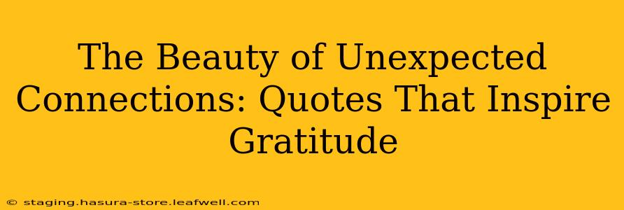 The Beauty of Unexpected Connections: Quotes That Inspire Gratitude