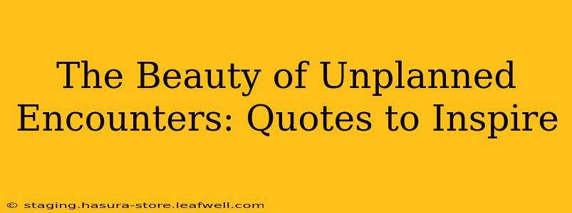 The Beauty of Unplanned Encounters: Quotes to Inspire