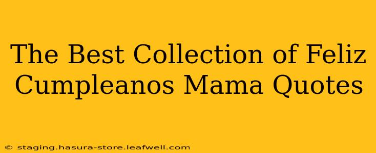 The Best Collection of Feliz Cumpleanos Mama Quotes